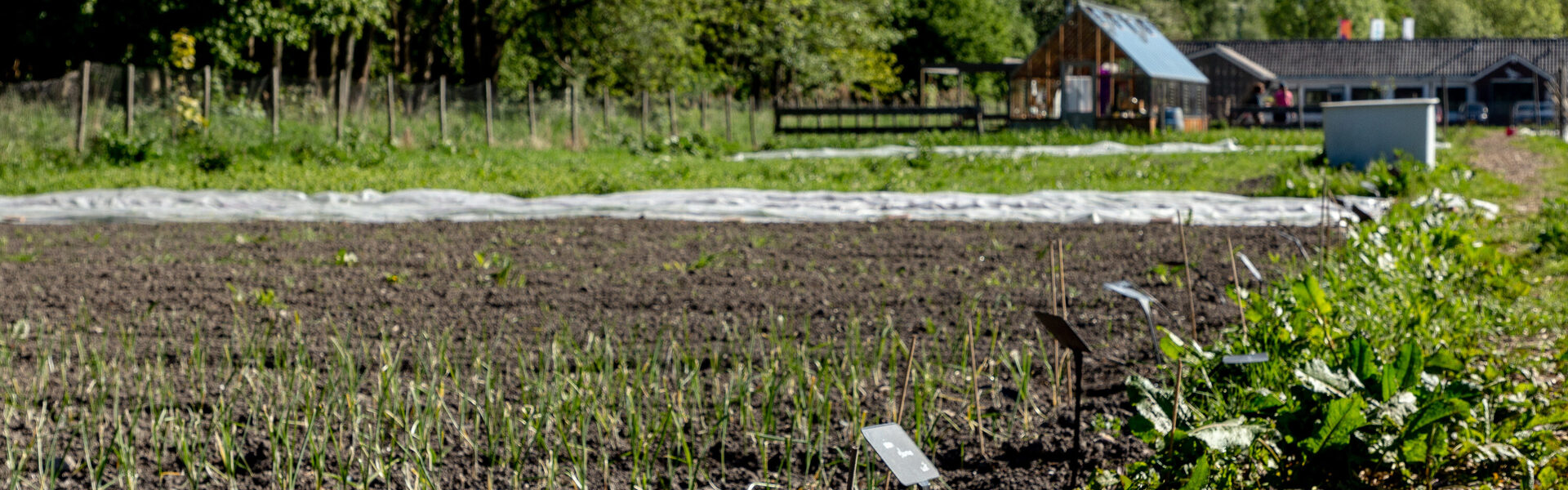 BuitenLeeft Delft akker