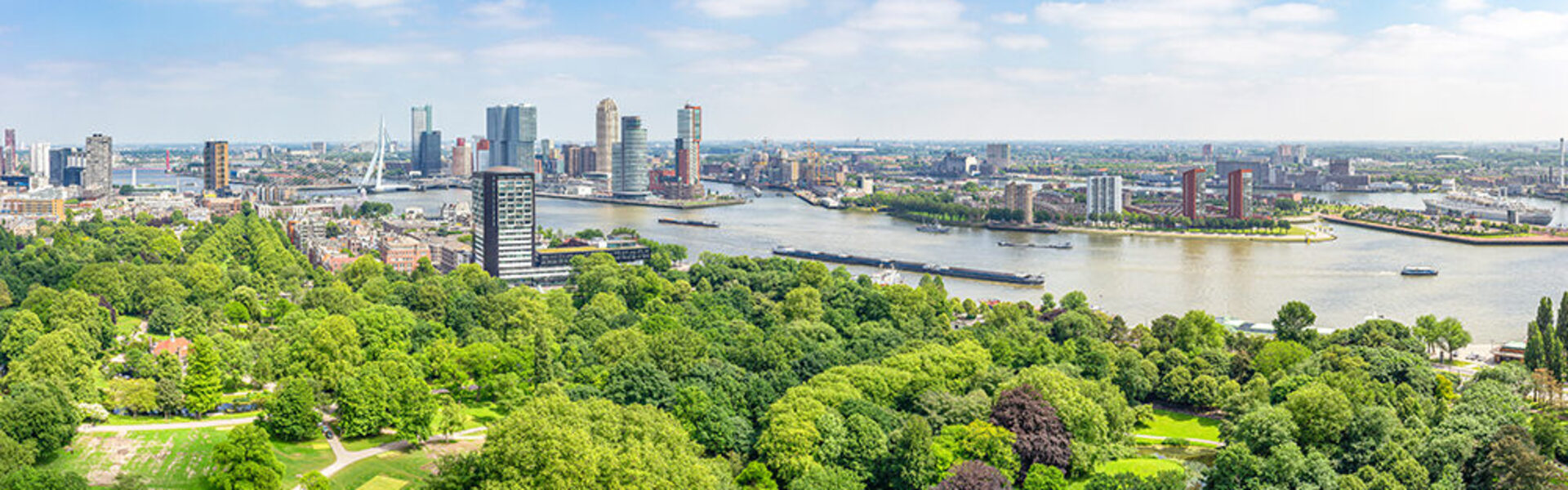 Rotterdam Banner