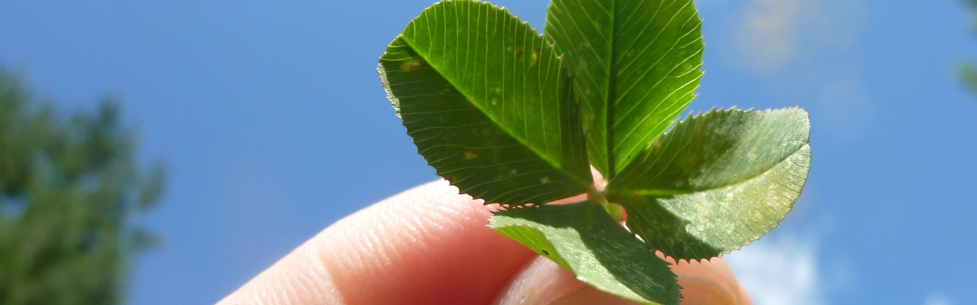 5_stappen_naar_nieuw_werkgeluk