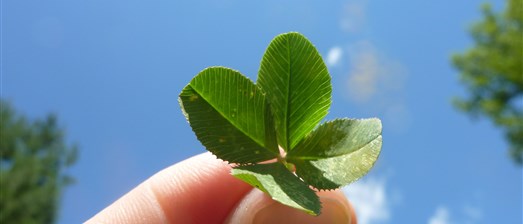 5_stappen_naar_nieuw_werkgeluk